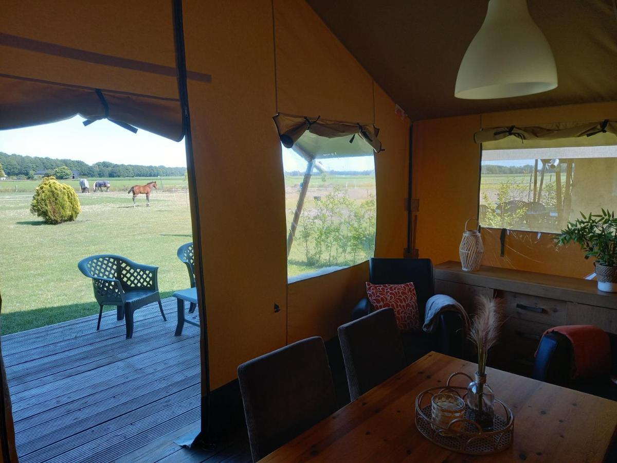Comfort Safaritent 6 Pers En Mini Camping Zwiggelte Exteriér fotografie